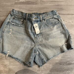 Aerie Light Blue Distressed Jean Shorts